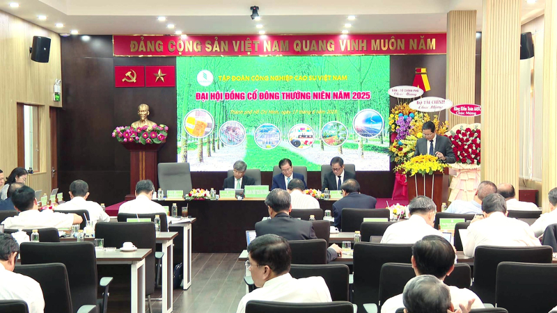 Dịch Vụ Livestream Đại Hội Cổ Đông