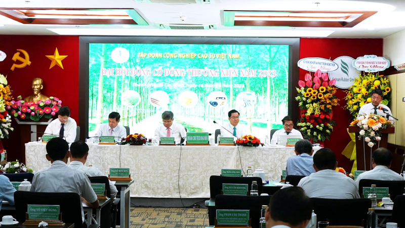 Dịch Vụ Tổ Chức Đại Hội Cổ Đông
